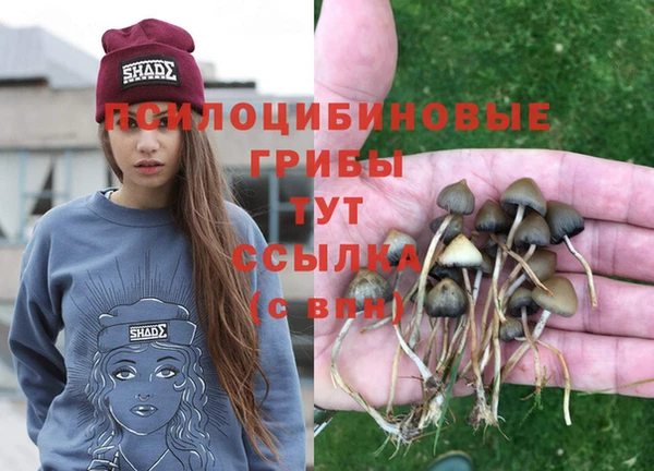 альфа пвп Нягань