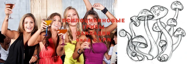 MDMA Premium VHQ Нязепетровск