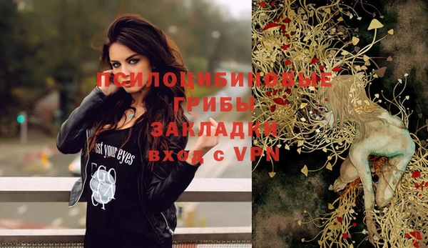 альфа пвп Нягань