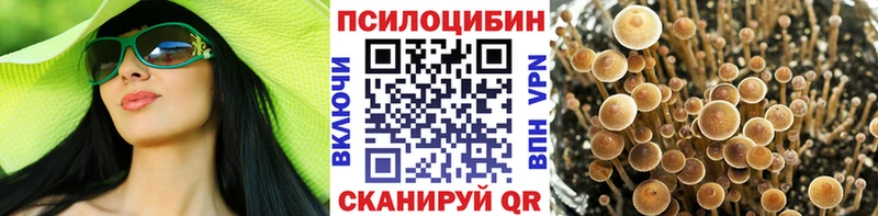 Галлюциногенные грибы мухоморы  мориарти Telegram  Руза  купить наркоту 